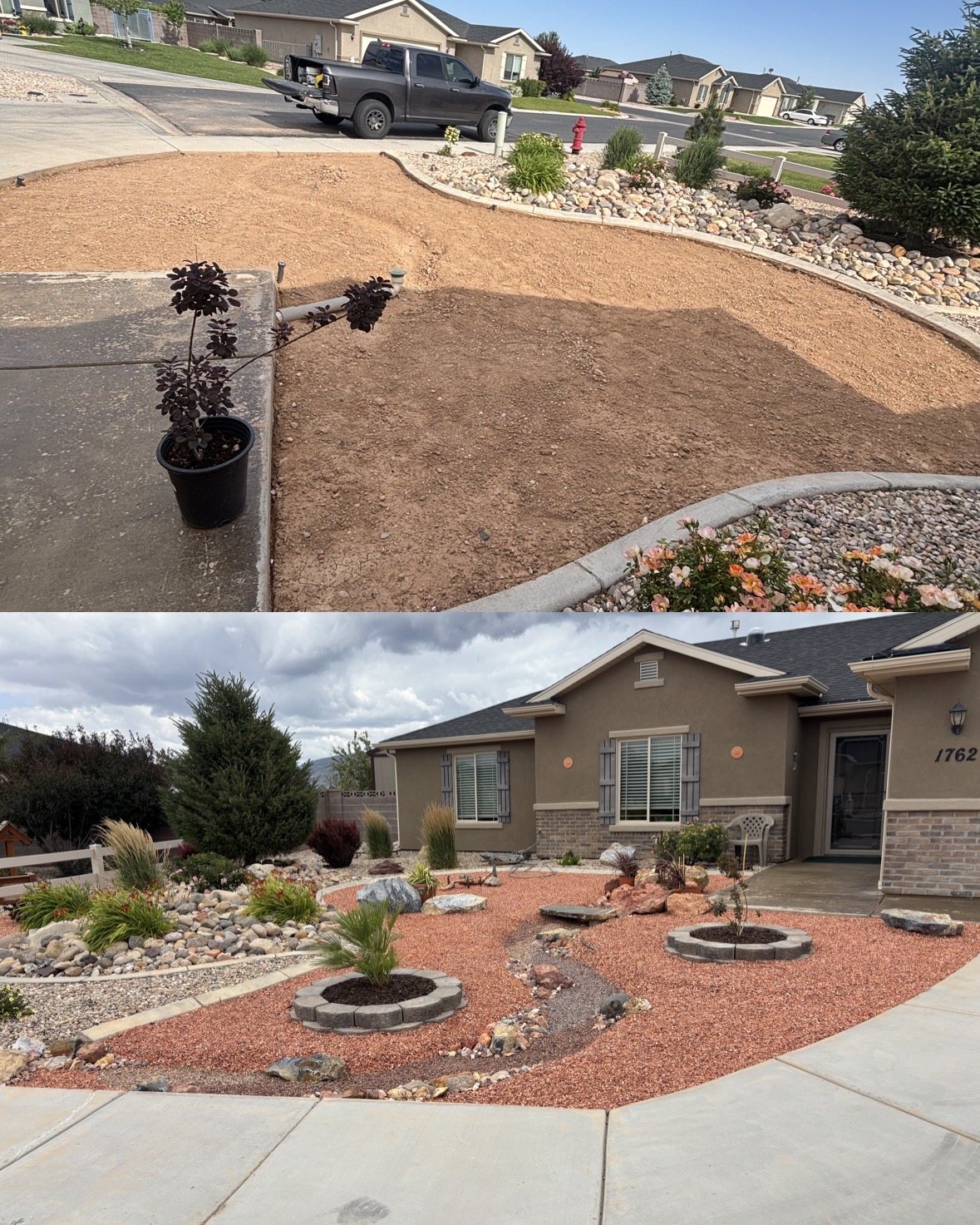 Decorative desert landscaping detail