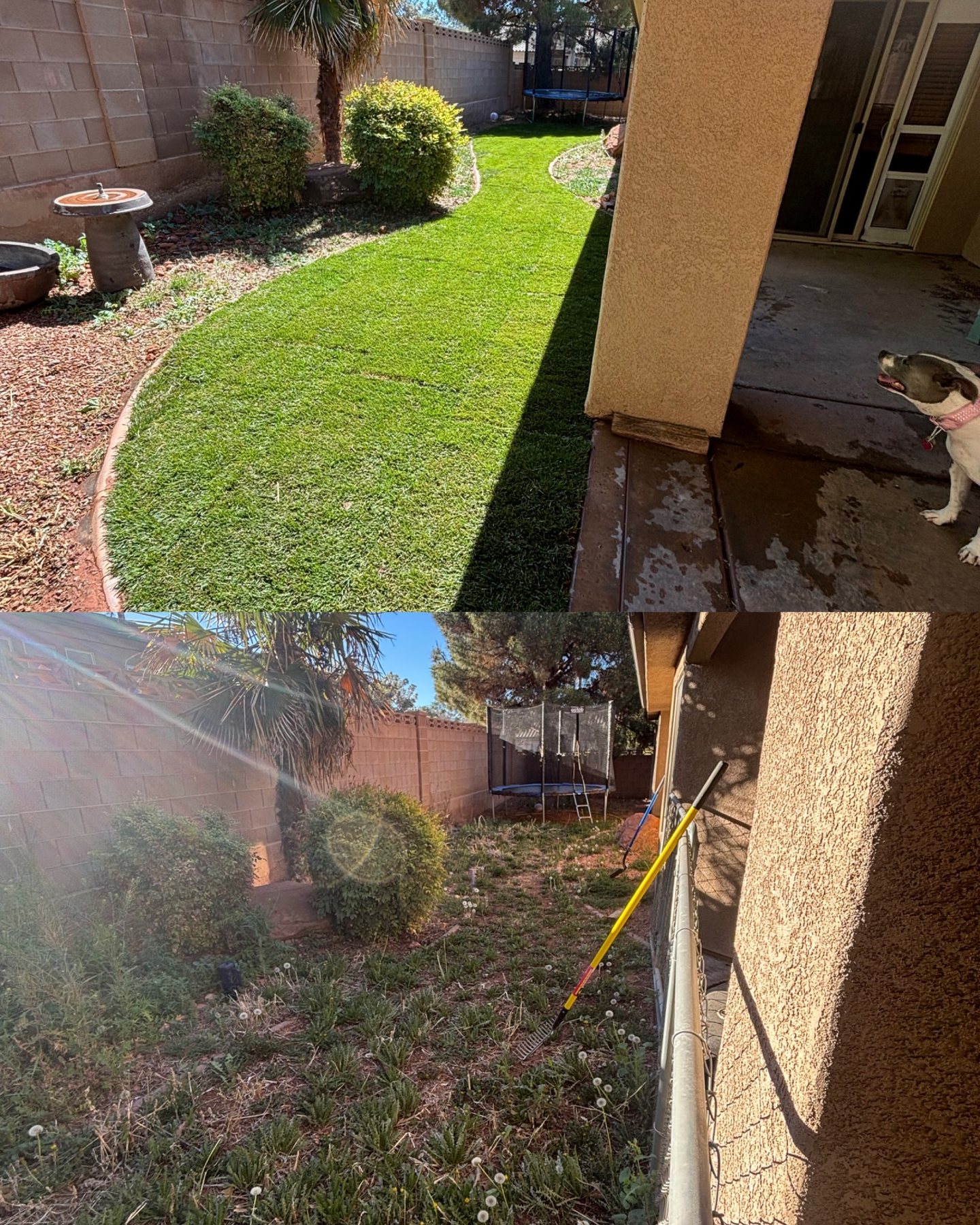 Before and after lawn installation