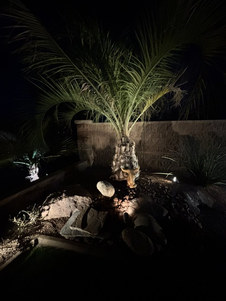 Summit Contracting past landscaping project