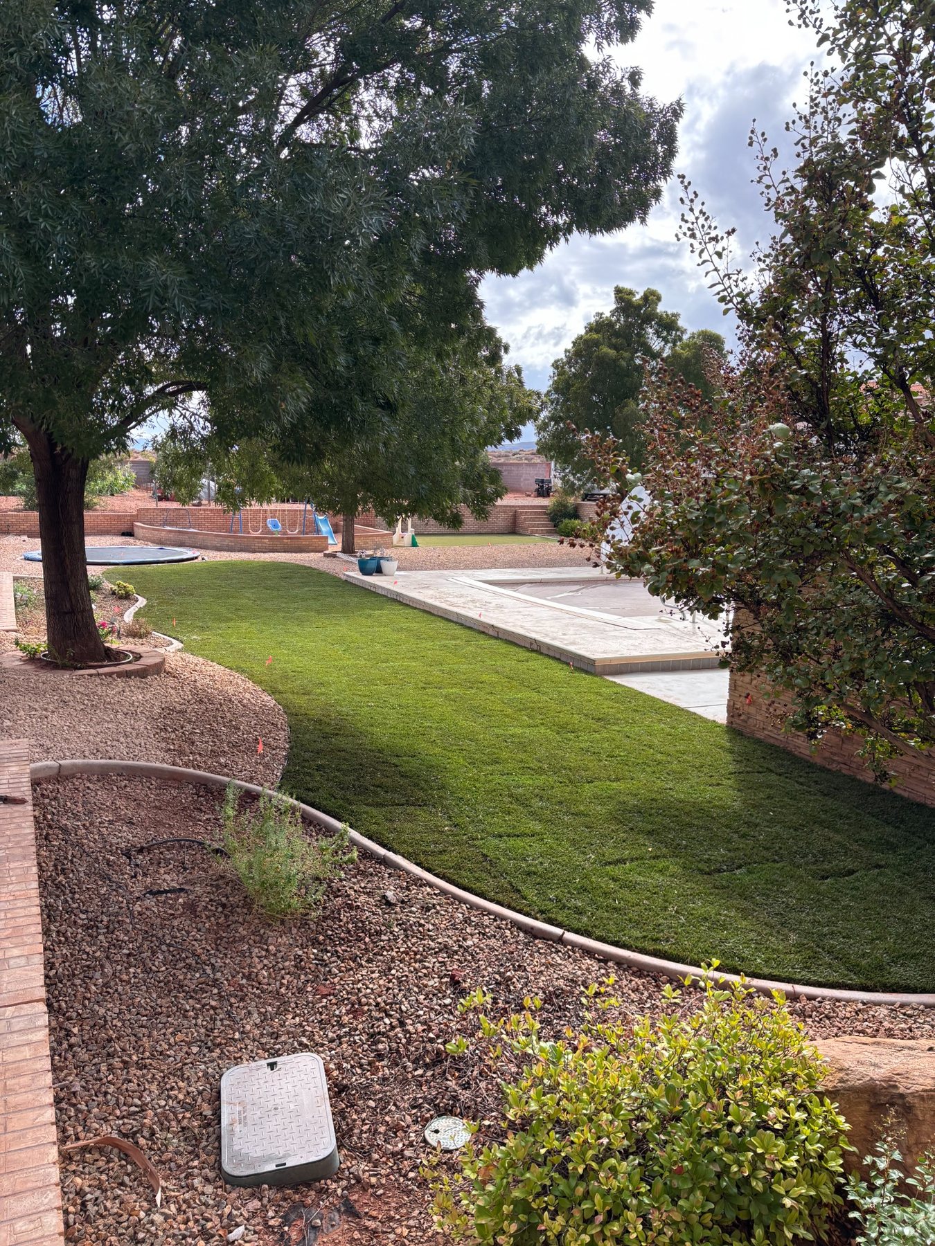 Completed sod and landscape project