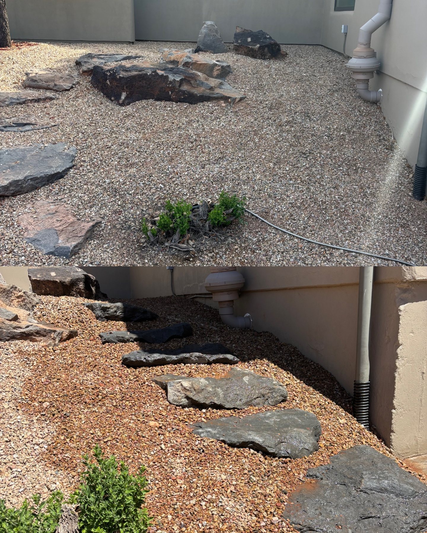 Before and after stepping stone landscape project