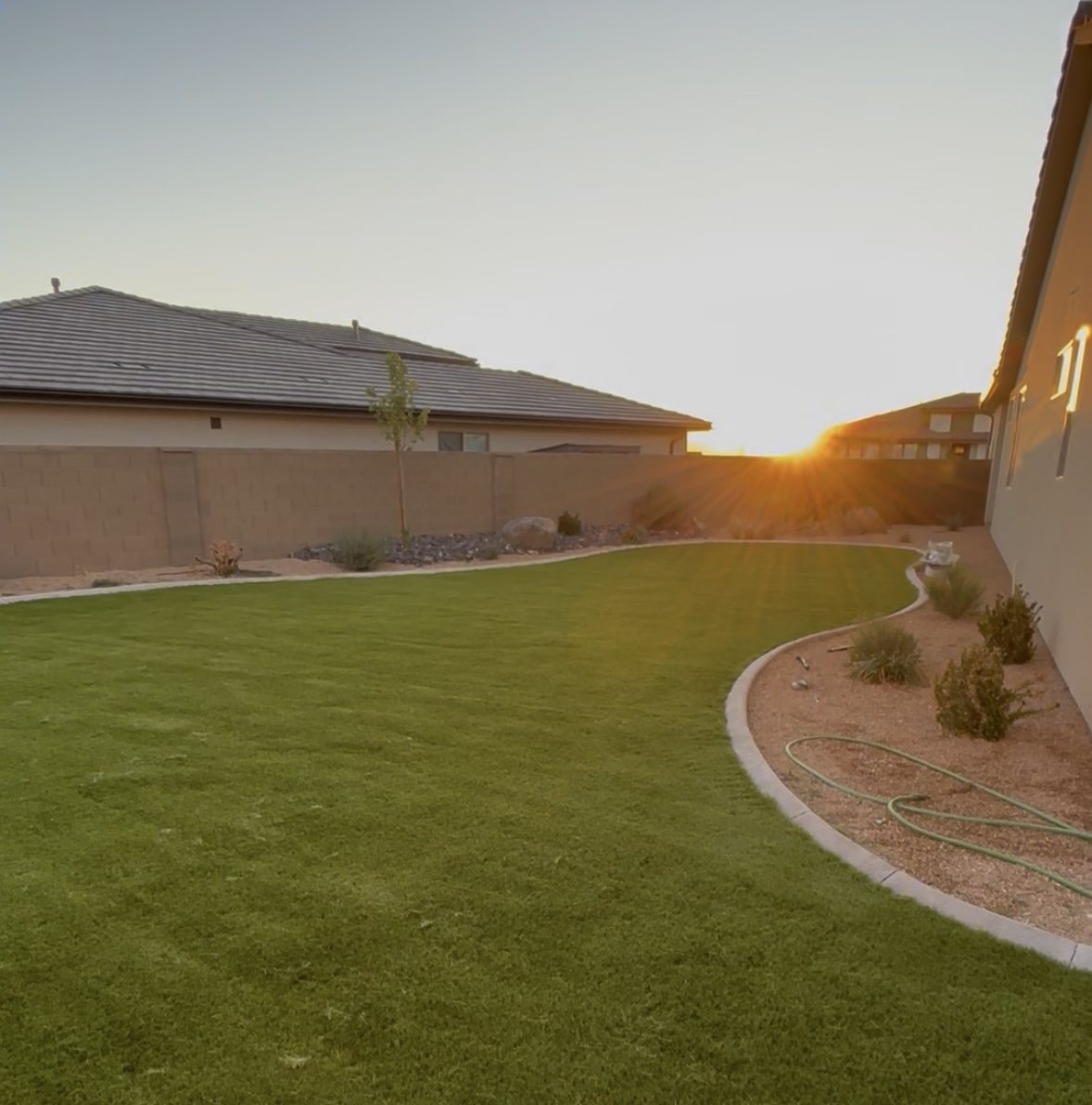Fresh green lawn installation at sunset